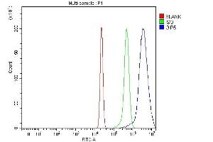 Flow Cytometry analysis of HepG2 cells using anti-OIP5 antibody (ABIN7599121). (OIP5 anticorps  (AA 1-229))