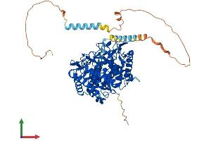 AlphaFold protein structure predicition of Mouse Recombinant Man1a1 Protein, UniprotID P45700