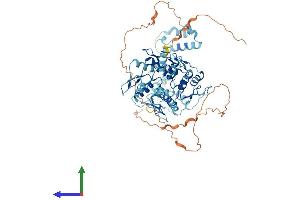 AlphaFold protein structure predicition of Human Recombinant ZNF133 Protein, UniprotID P52736