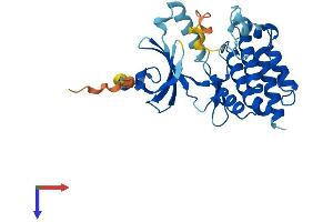 AlphaFold protein structure predicition of Human Recombinant NEK7 Protein, UniprotID Q8TDX7