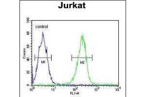 DTX1 Antibody (Center) (ABIN652869 and ABIN2842564) flow cytometric analysis of Jurkat cells (right histogram) compared to a negative control cell (left histogram). (Deltex Homolog 1 anticorps  (AA 382-410))