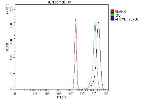 Flow Cytometry analysis of K562 cells using anti-IRBIT/AHCYL1 antibody (ABIN7600029).