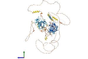 AlphaFold protein structure predicition of Human Recombinant NCOA7 Protein, UniprotID Q8NI08