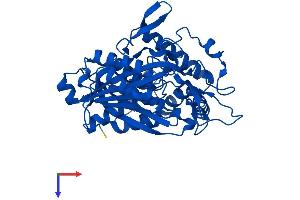 AlphaFold protein structure predicition of Mouse Recombinant Acaa2 Protein, UniprotID Q8BWT1