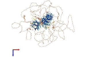 AlphaFold protein structure predicition of Human Recombinant TULP4 Protein, UniprotID Q9NRJ4