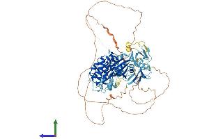 AlphaFold protein structure predicition of Mouse Recombinant Dclk1 Protein, UniprotID Q9JLM8
