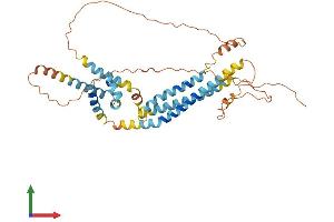 AlphaFold protein structure predicition of Human Recombinant APOL3 Protein, UniprotID O95236