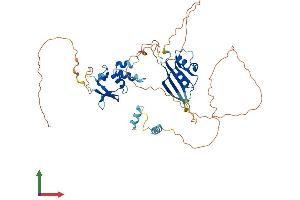 AlphaFold protein structure predicition of Mouse Recombinant Kctd8 Protein, UniprotID Q50H33