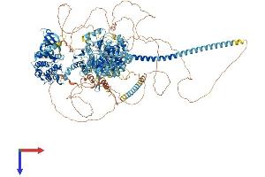 AlphaFold protein structure predicition of Mouse Recombinant Myo3a Protein, UniprotID Q8K3H5