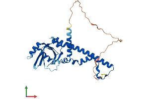 AlphaFold protein structure predicition of Human Recombinant NHEJ1 Protein, UniprotID Q9H9Q4
