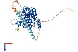 AlphaFold protein structure predicition of Mouse Recombinant Trmt10b Protein, UniprotID Q9D075