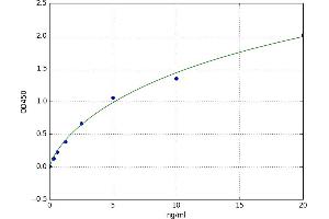 A typical standard curve (FOXP3 Kit ELISA)