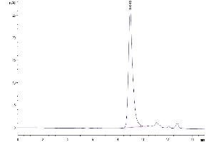 Size-exclusion chromatography-High Pressure Liquid Chromatography (SEC-HPLC) image for Thymic Stromal Lymphopoietin (TSLP) (AA 29-159) protein (His-Avi Tag) (ABIN7275805)