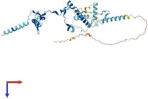 AlphaFold protein structure predicition of Mouse Recombinant Rrs1 Protein, UniprotID Q9CYH6