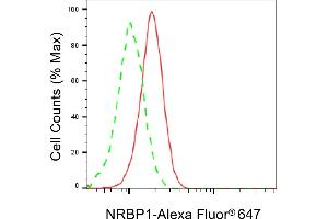 Flow cytometric analysis of NRBP1 expression in C2C12 cells using NRBP1 antibody (ABIN7799649), 1:2,000). (NRBP1 anticorps)