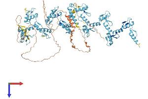 AlphaFold protein structure predicition of Human Recombinant ZNF814 Protein, UniprotID B7Z6K7