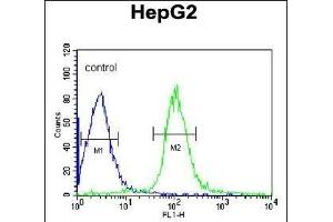 MGST2 Antibody (C-term) (ABIN652824 and ABIN2842536) flow cytometric analysis of HepG2 cells (right histogram) compared to a negative control cell (left histogram). (MGST2 anticorps  (C-Term))