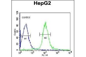MGST2 Antibody (C-term) (ABIN652824 and ABIN2842536) flow cytometric analysis of HepG2 cells (right histogram) compared to a negative control cell (left histogram).