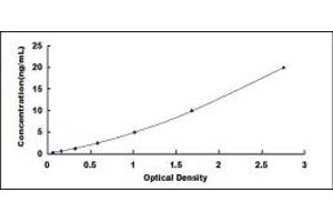 Glutamate Decarboxylase-Like 1 (GADL1) ELISA Kit