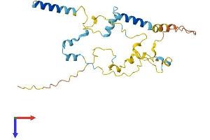 Myozenin 2 (MYOZ2) (AA 1-264) protein (His tag)