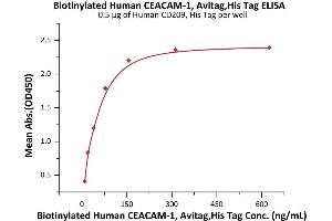 Immobilized Human CD209, His Tag (ABIN6950997,ABIN6952274) at 5 μg/mL (100 μL/well) can bind Biotinylated Human CEACAM-1, Avitag,His Tag (ABIN3137678,ABIN5674022) with a linear range of 10-78 ng/mL (QC tested). (CEACAM1 Protein (AA 35-428) (His tag,AVI tag,Biotin))
