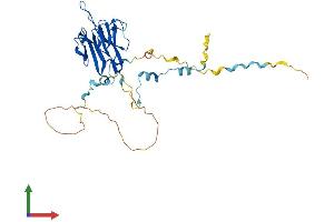 AlphaFold protein structure predicition of Human Recombinant MVB12B Protein, UniprotID Q9H7P6
