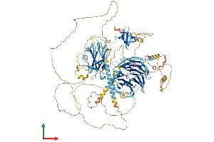 AlphaFold protein structure predicition of Human Recombinant AHI1 Protein, UniprotID Q8N157