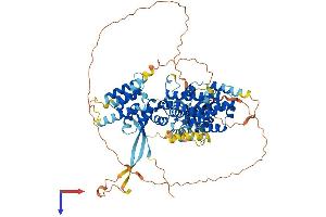 AlphaFold protein structure predicition of Mouse Recombinant Rgl1 Protein, UniprotID Q60695
