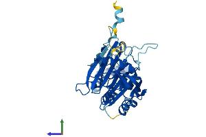 AlphaFold protein structure predicition of Mouse Recombinant Rpp40 Protein, UniprotID Q8R1F9
