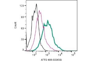 anti-Adenylate Cyclase 3 (ADCY3) (AA 285-299), (Extracellular) antibody (Atto 488)