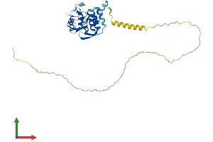 AlphaFold protein structure predicition of Human Recombinant PRPF38A Protein, UniprotID Q8NAV1