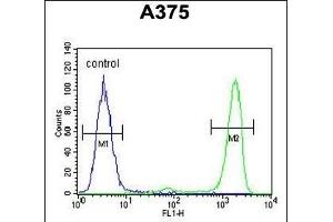 IT Antibody (N-term) (ABIN651135 and ABIN2840091) flow cytometric analysis of  cells (right histogram) comred to a negative control cell (left histogram). (ITPA anticorps  (N-Term))