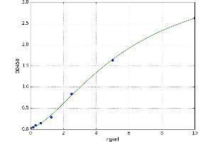 A typical standard curve (IFNAR1 Kit ELISA)