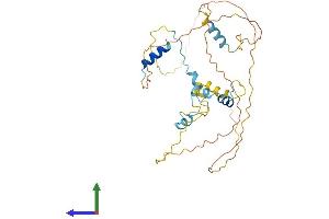 AlphaFold protein structure predicition of Mouse Recombinant Aven Protein, UniprotID Q9D9K3