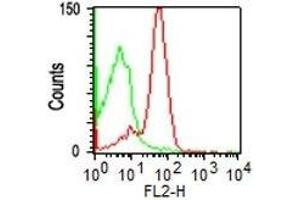 Flow Cytometry of PBMC using CD43 Monoclonal Antibody (SPM503) (red) or isotype control (green) (CD43 anticorps)