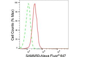 Flow cytometric analysis of SAMM50 expression in HeLa cells using SAMM50 antibody (ABIN7800407), 1:2,000).