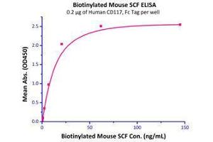 Immobilized Human CD117, Fc Tag (Cat# CD7-H5255) at 2 μg/mL (100 μl/well) can bind Biotinylated Mouse SCF (Cat# SCF-M8228) with a linear range of 0.