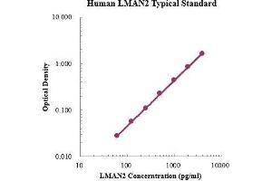 ELISA image for Lectin, Mannose-Binding 2 (LMAN2) ELISA Kit (ABIN3198465)