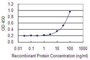 anti-Ankyrin Repeat and SOCS Box Containing 5 (ASB5) (AA 220-328) antibody
