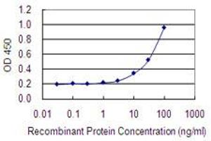 Detection limit for recombinant GST tagged ASB5 is 1 ng/ml as a capture antibody. (ASB5 anticorps  (AA 220-328))