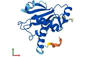 AlphaFold protein structure predicition of Mouse Recombinant Ube2ql1 Protein, UniprotID A0PJN4