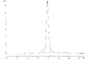 The purity of Human GARP&Latent TGF Beta Complex is greater than 95 % as determined by SEC-HPLC.