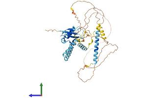 AlphaFold protein structure predicition of Mouse Recombinant Herpud2 Protein, UniprotID Q9JJC9