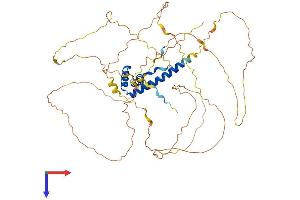 AlphaFold protein structure predicition of Human Recombinant TOX Protein, UniprotID O94900