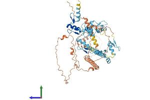 AlphaFold protein structure predicition of Human Recombinant ZNF891 Protein, UniprotID A8MT65