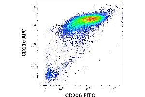 Flow cytometry multicolor surface staining of human stimulated (GM-CSF + IL-4) peripheral blood mononuclear cells stained using anti-human CD206 (15-2) FITC antibody (4 μL reagent per milion cells in 100 μL of cell suspension) and anti-human CD11c (BU15) APC antibody (10 μL reagent per milion cells in 100 μL of cell suspension).