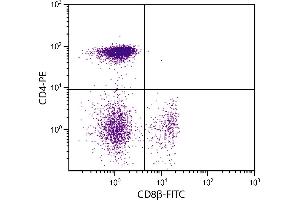 Chicken peripheral blood lymphocytes were stained with Mouse Anti-Chicken CD8β-FITC. (CD8B anticorps  (FITC))