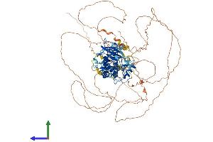 AlphaFold protein structure predicition of Mouse Recombinant Mastl Protein, UniprotID Q8C0P0