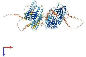AlphaFold protein structure predicition of Human Recombinant PKN3 Protein, UniprotID Q6P5Z2
