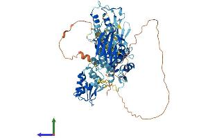 AlphaFold protein structure predicition of Mouse Recombinant Smurf1 Protein, UniprotID Q9CUN6